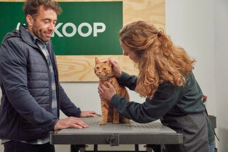 Huid- en vachtconsult voor je kat - € 9.95